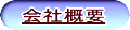 ЊTv
